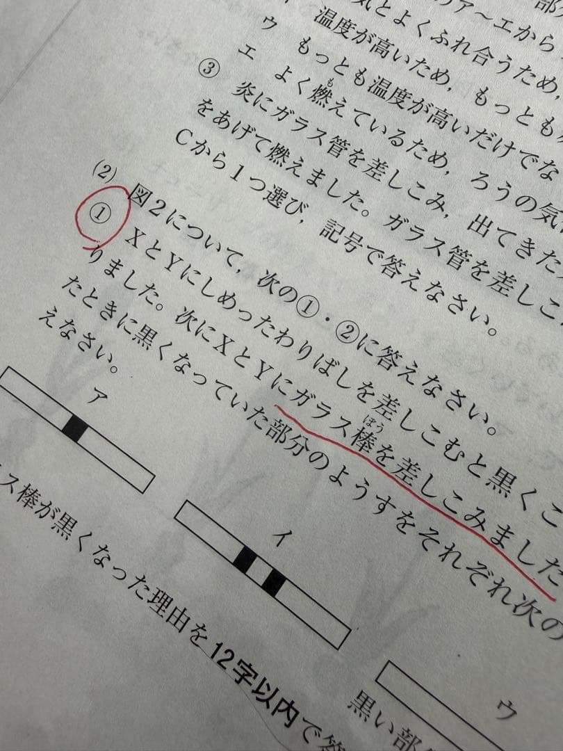 SAPIX 5年 2023年度マンスリー組分けテスト一年分