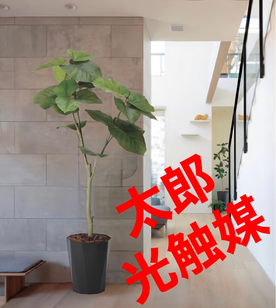 光触媒　人工観葉植物　ウォールグリーン　フレッシュウンベラータ1.35m