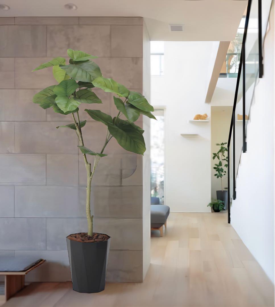 光触媒　人工観葉植物　ウォールグリーン　フレッシュウンベラータ1.35m