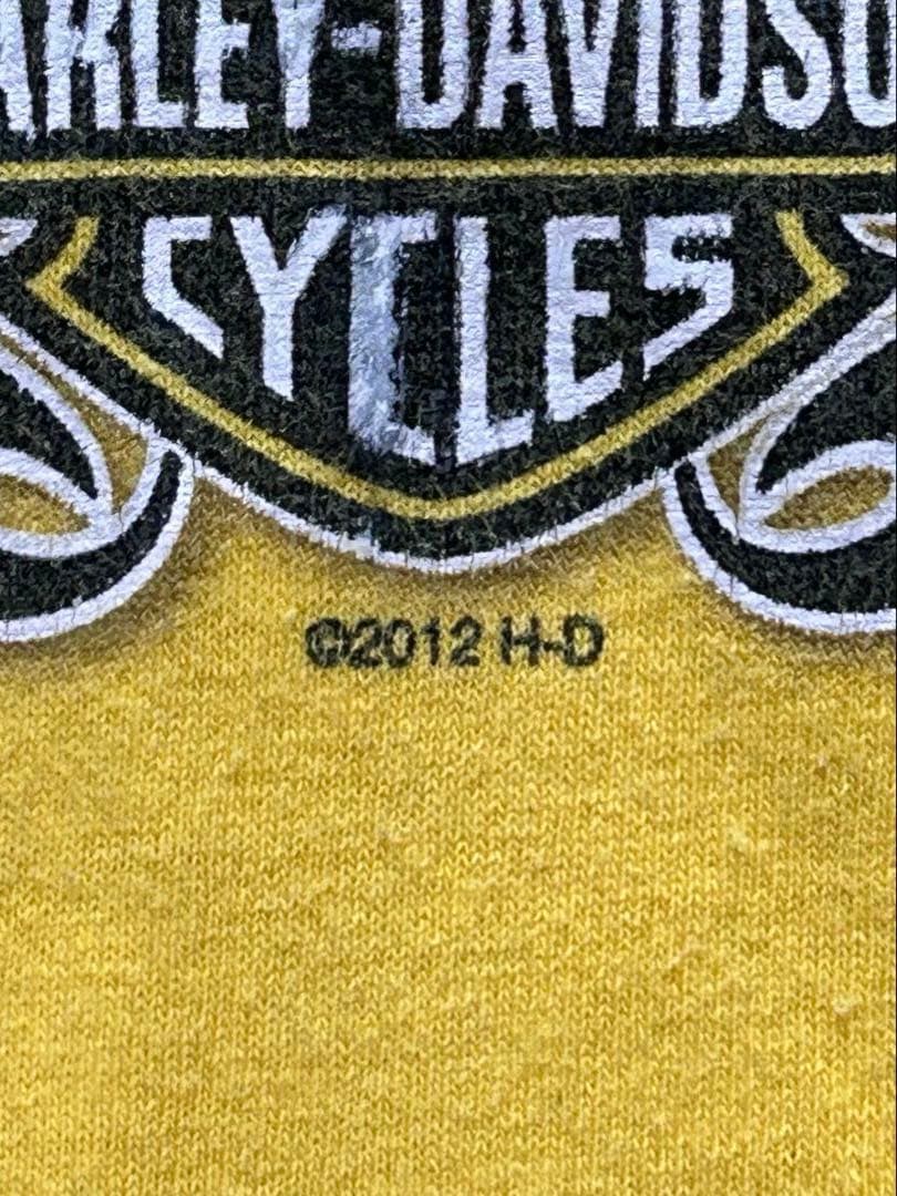 t*t様 Harley-Davidson ロンT XL フレイム柄 レアカラー