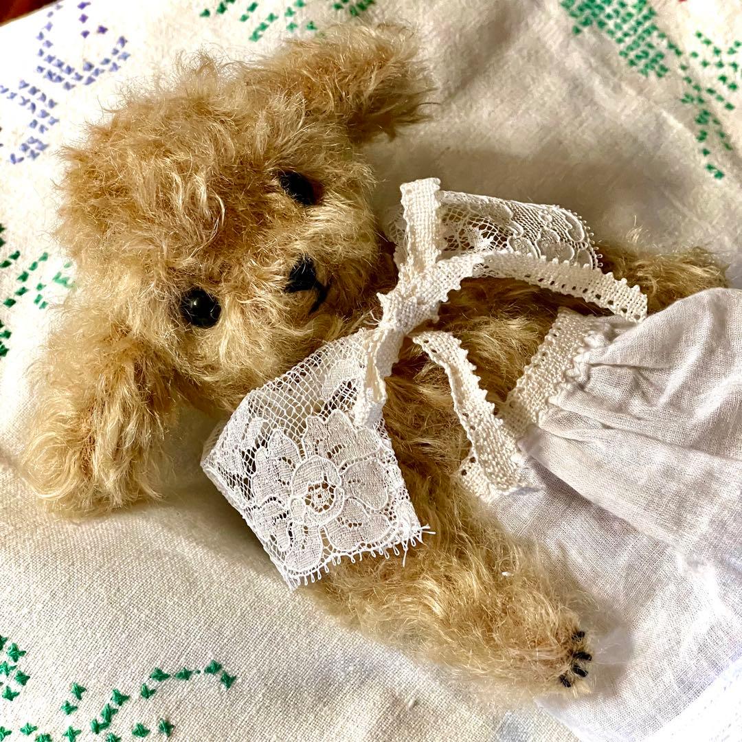 プードル好きさんのためのアンティークレースを纏ったテディプードル　テディベア