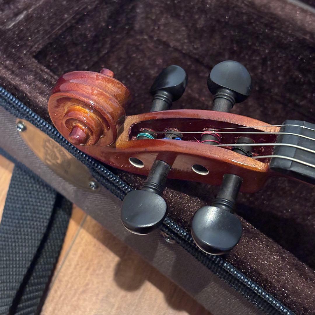 カルロジョルダーノ バイオリン 1/4サイズ VS-F1 子供用