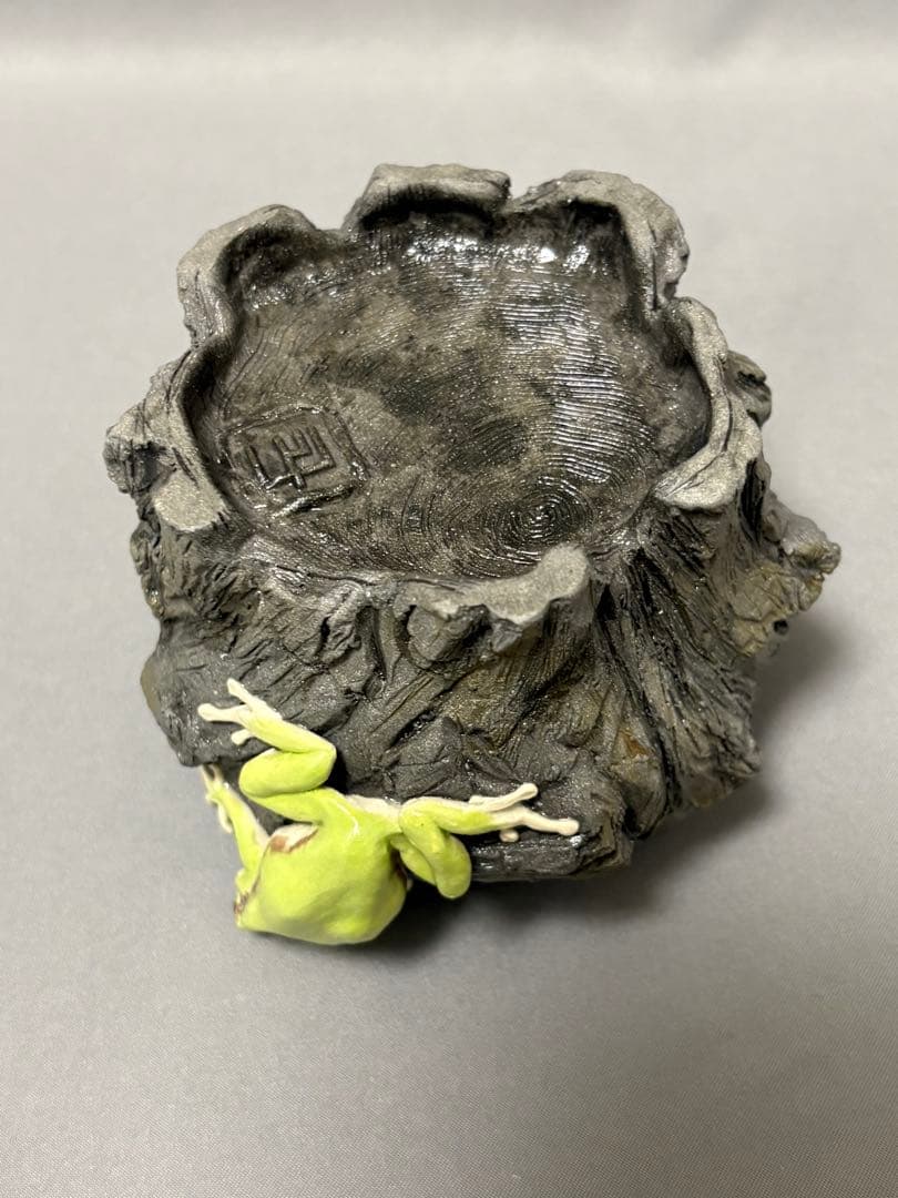 腰越祐貴　樹器とアマガエル