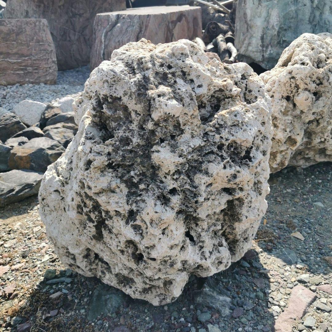 サンゴ石　93キロ　庭石　石　鑑賞石 石材　庭　ガーデニング　置物　オブジェ