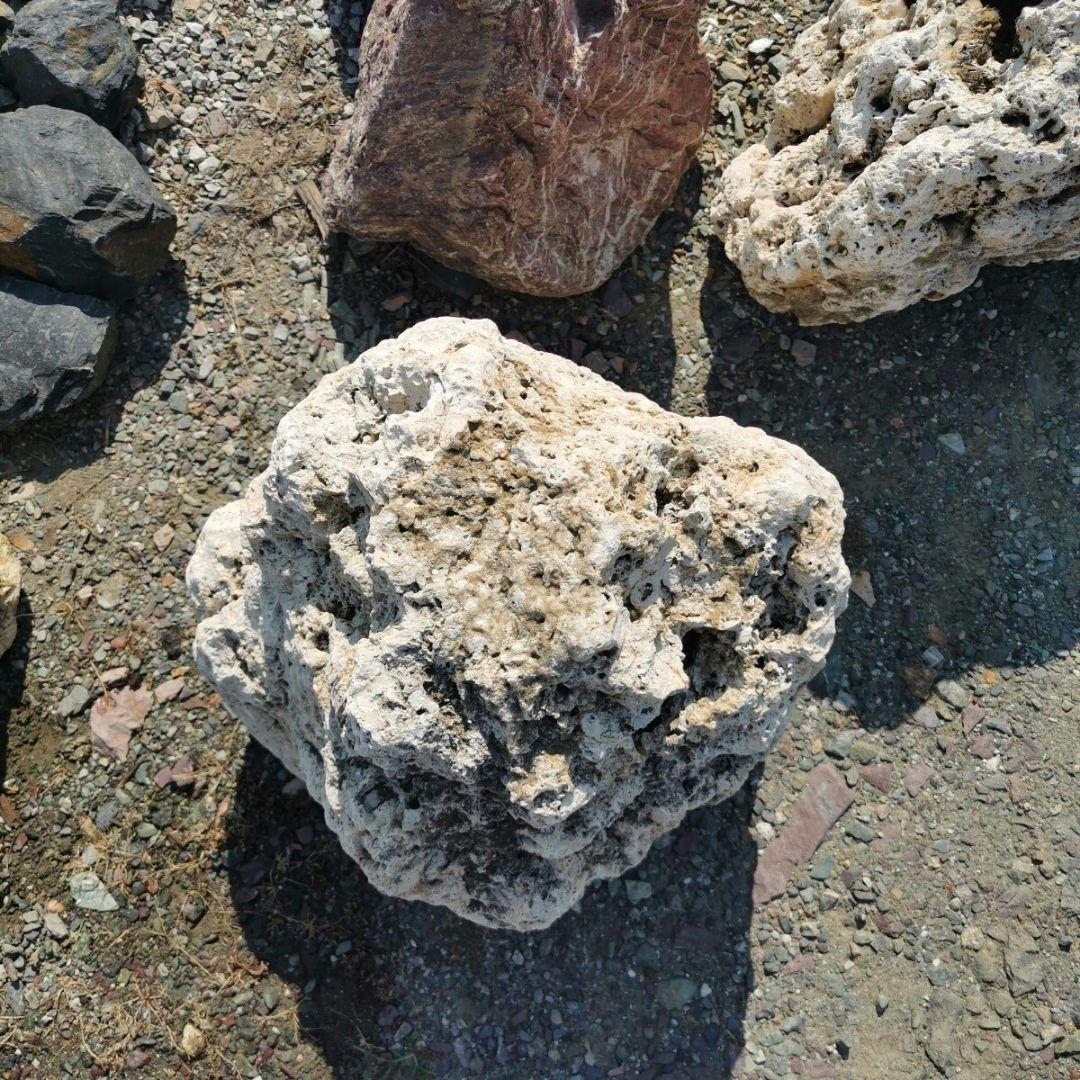 サンゴ石　93キロ　庭石　石　鑑賞石 石材　庭　ガーデニング　置物　オブジェ