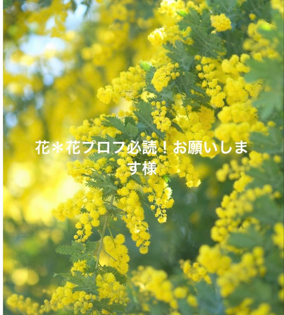 花＊花プロフ必読！お願いします様