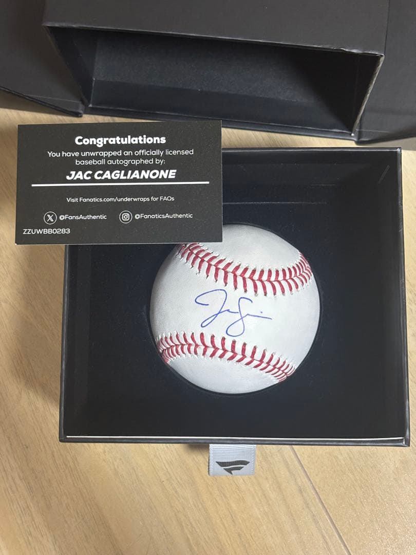 ザックカグリオン 直筆サイン ボール MLB 大谷 二世 MLB