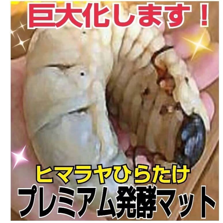 増量【80リットル】プレミアム3次発酵カブトムシマット☆特殊アミノ酸強化配合！