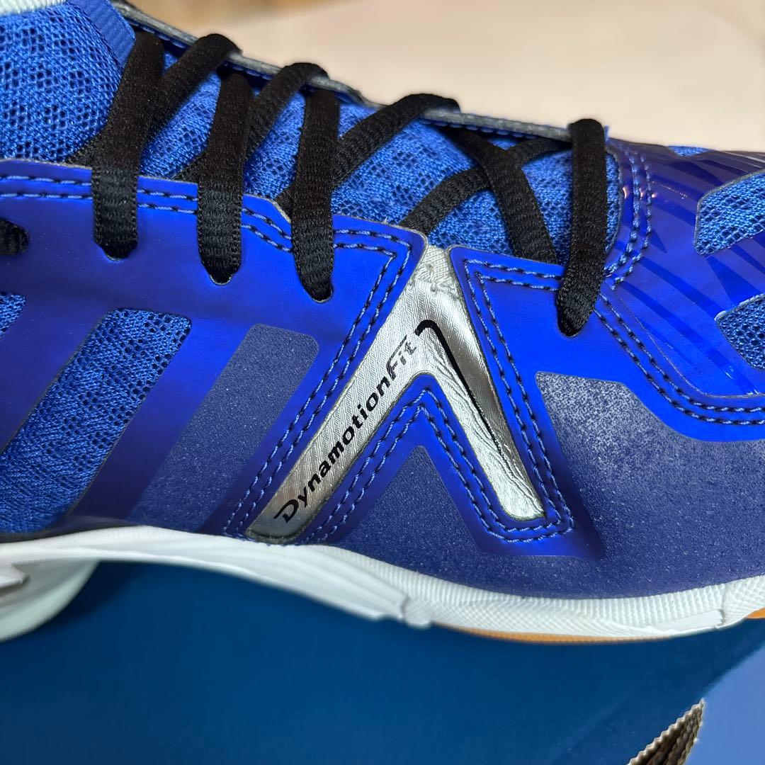 Mizuno バレーボールシューズ ※ケース付き 29cm ハイカット