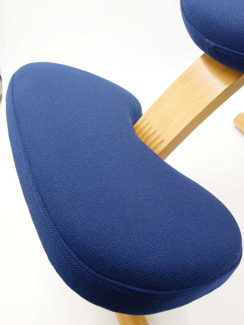 バランスイージー バランスチェア ネイビー サカモトハウス　カバー付き