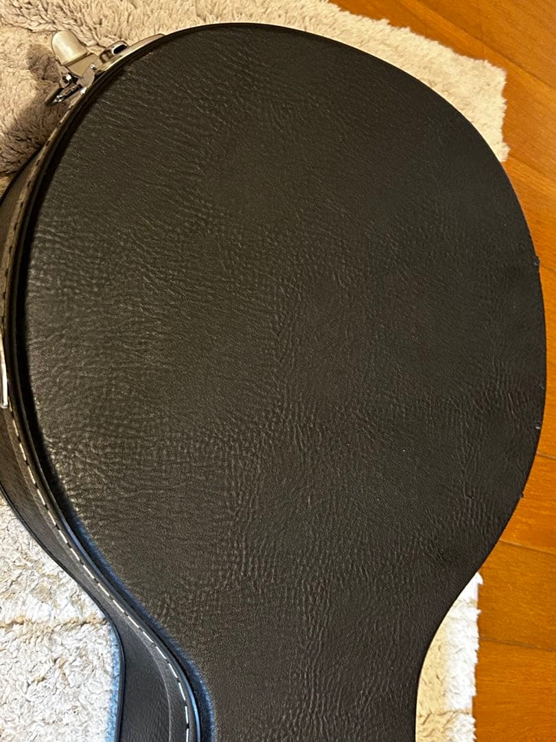 【極美品】 完品　K.Garage VM-6E マンドリン　ハードケース付き