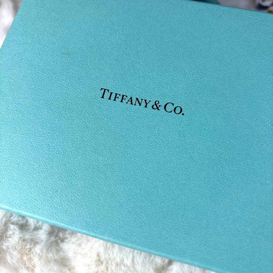✨美品✨ティファニー　TIFFANY＆CO　キーケース　レザー　ブルー　シボ革
