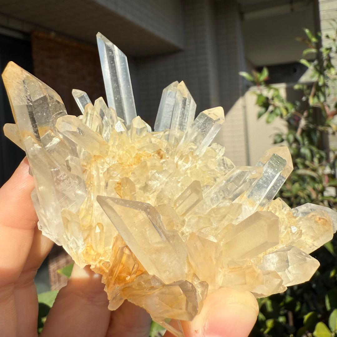 n.♡様　確認用