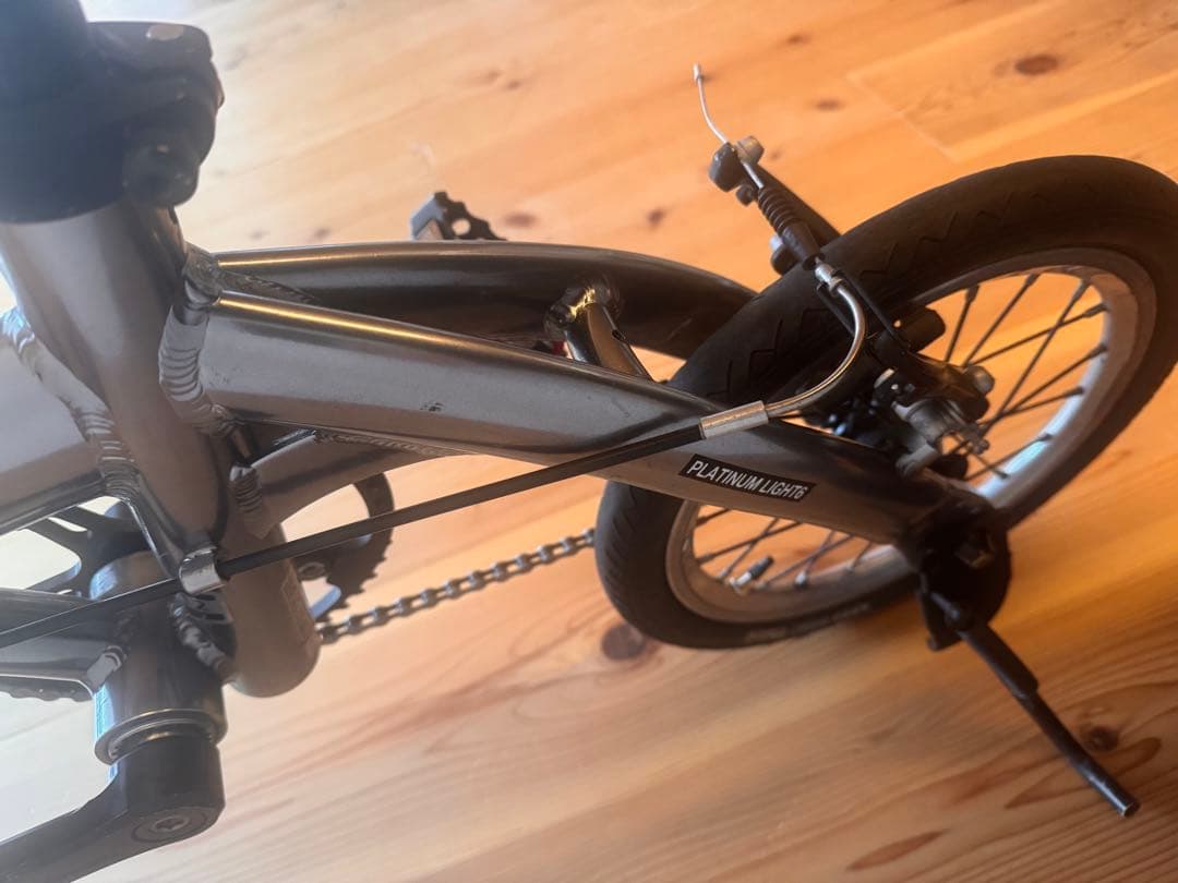 RENAULT(ルノー) PLATINUM LIGHT6