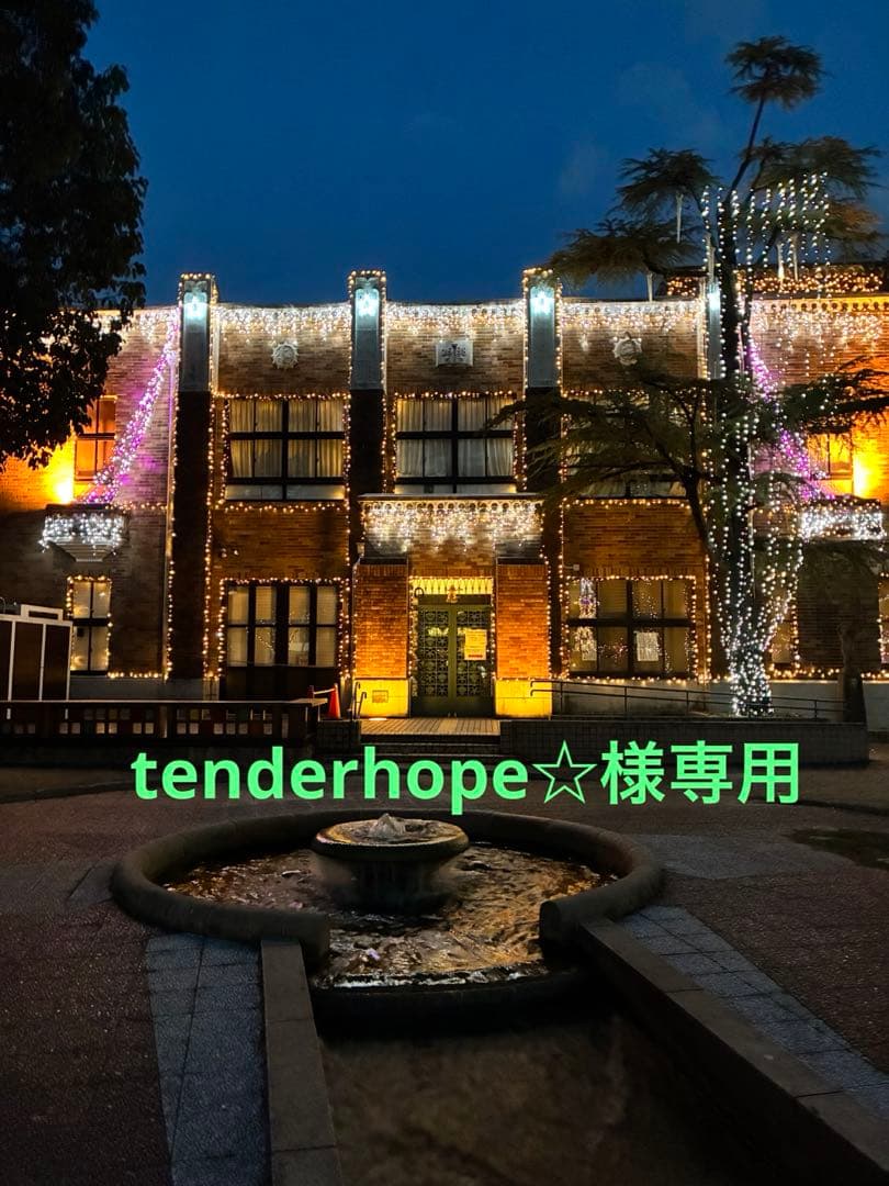 tenderhope☆『未使用』ルイヴィトンモノグラム柄二つ折り財布