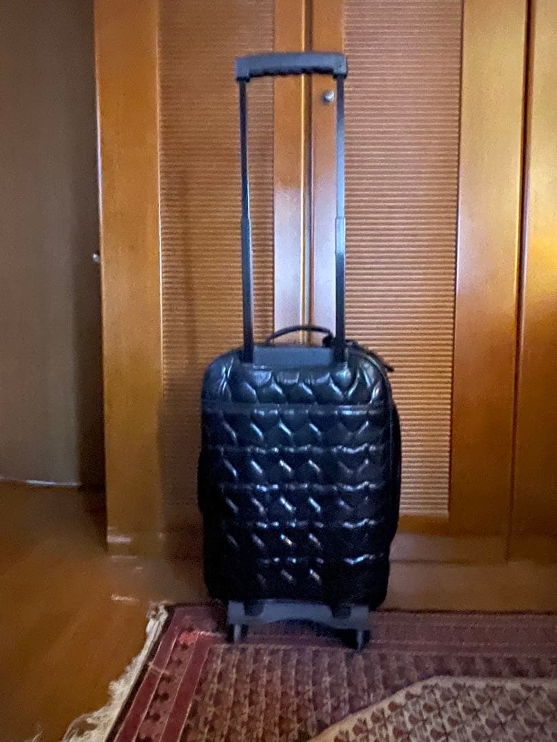 ネジの外れてるAB型　BETSEY JOHNSON キャリーバッグ