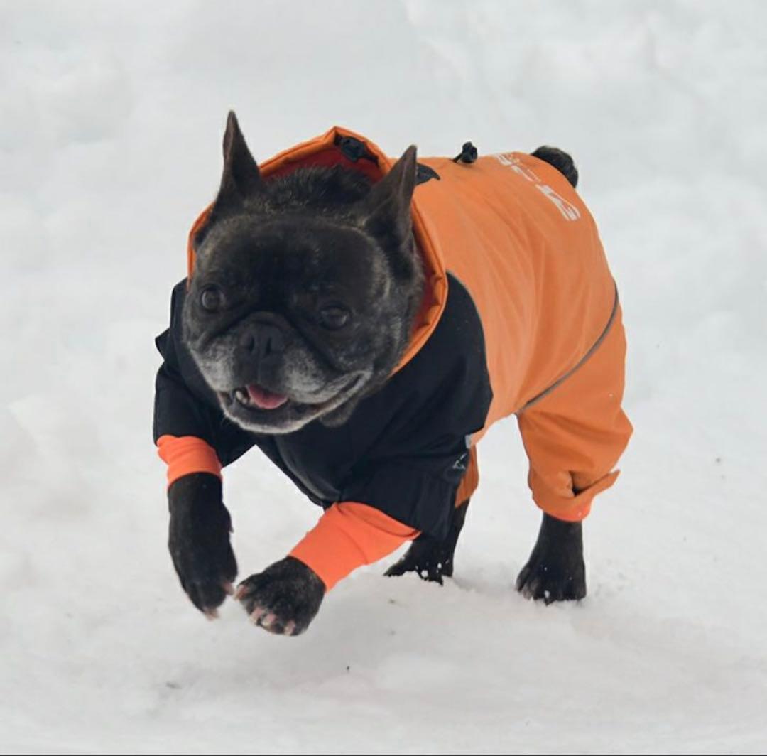 GEWALK 中綿入り撥水ワンピースジャケット