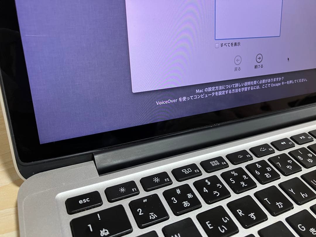 MacBook Pro (Retina13インチ 2013) SSD 768GB