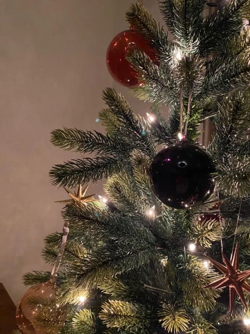 RSグローバルトレード社　global rs trade ツリー