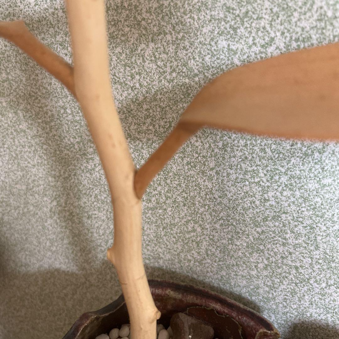 【一点物】百合(ゆり)のオブジェ(木製置物)