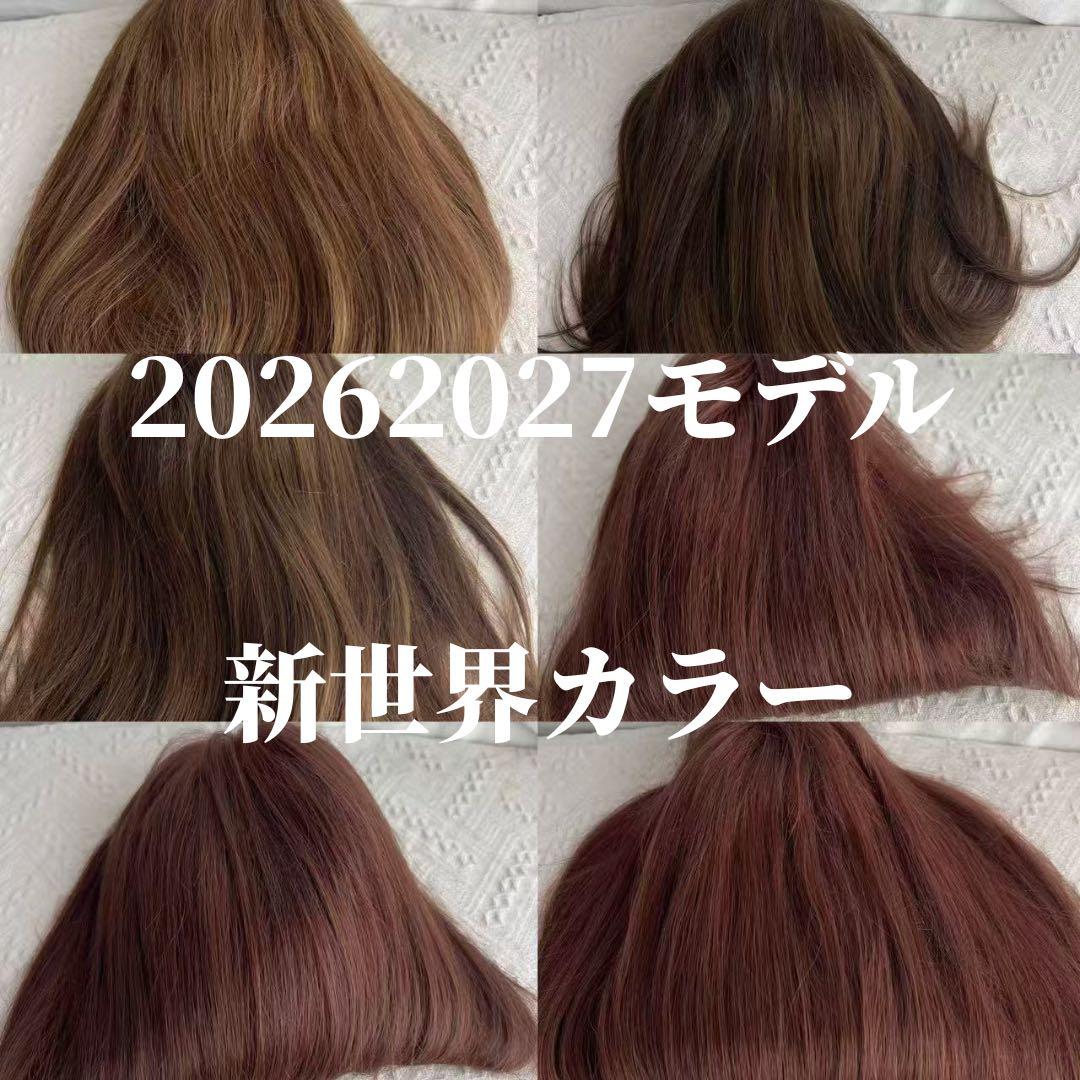 最新2026新世界調和技術　人毛100%　ウィッグ　シルクスキン　医療ウィッグ