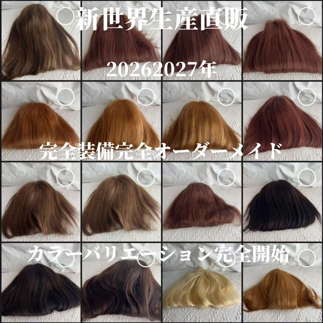 最新2026新世界調和技術　人毛100%　ウィッグ　シルクスキン　医療ウィッグ