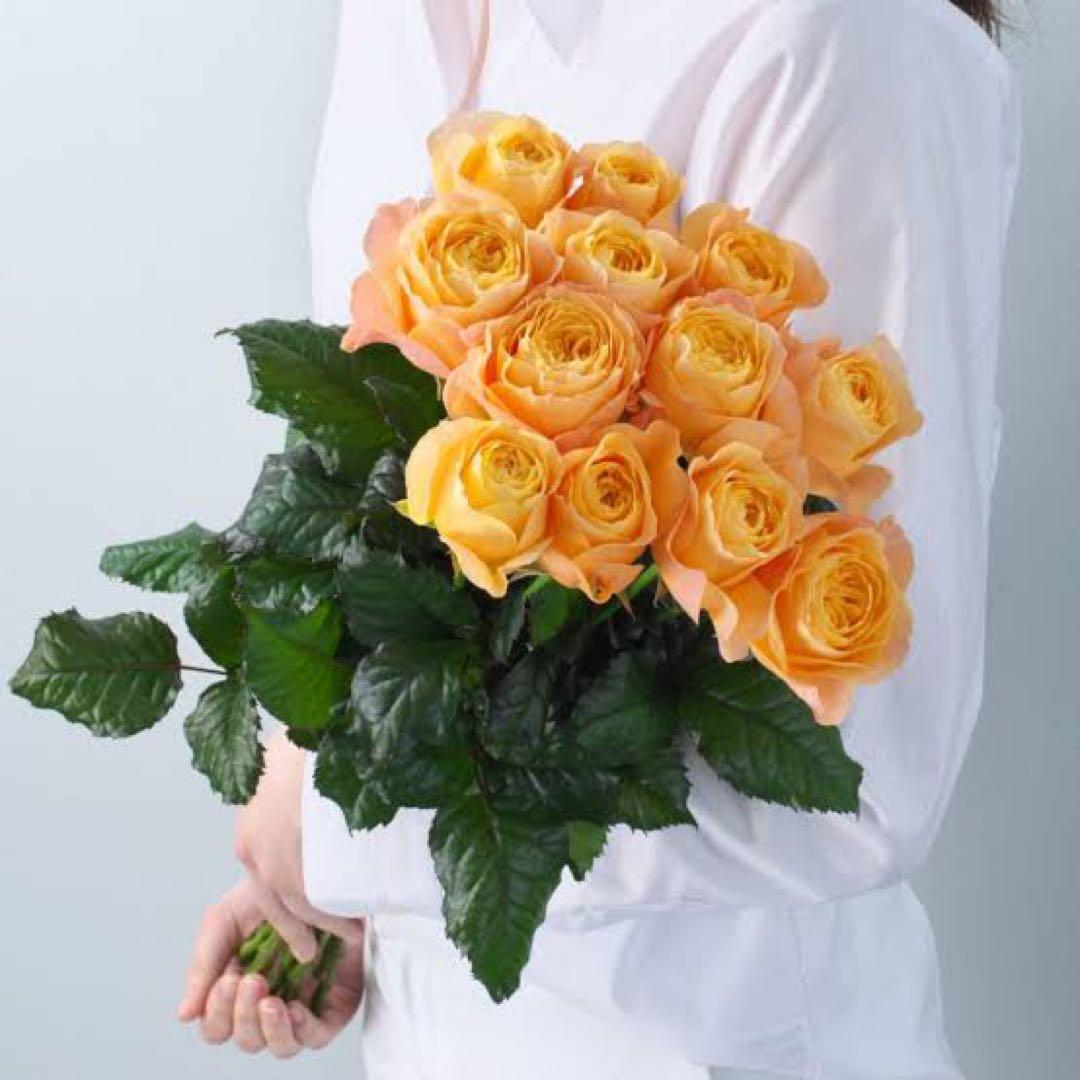 切り花品種バラ苗　レアバラ 　Bee Hiv♡ バラ