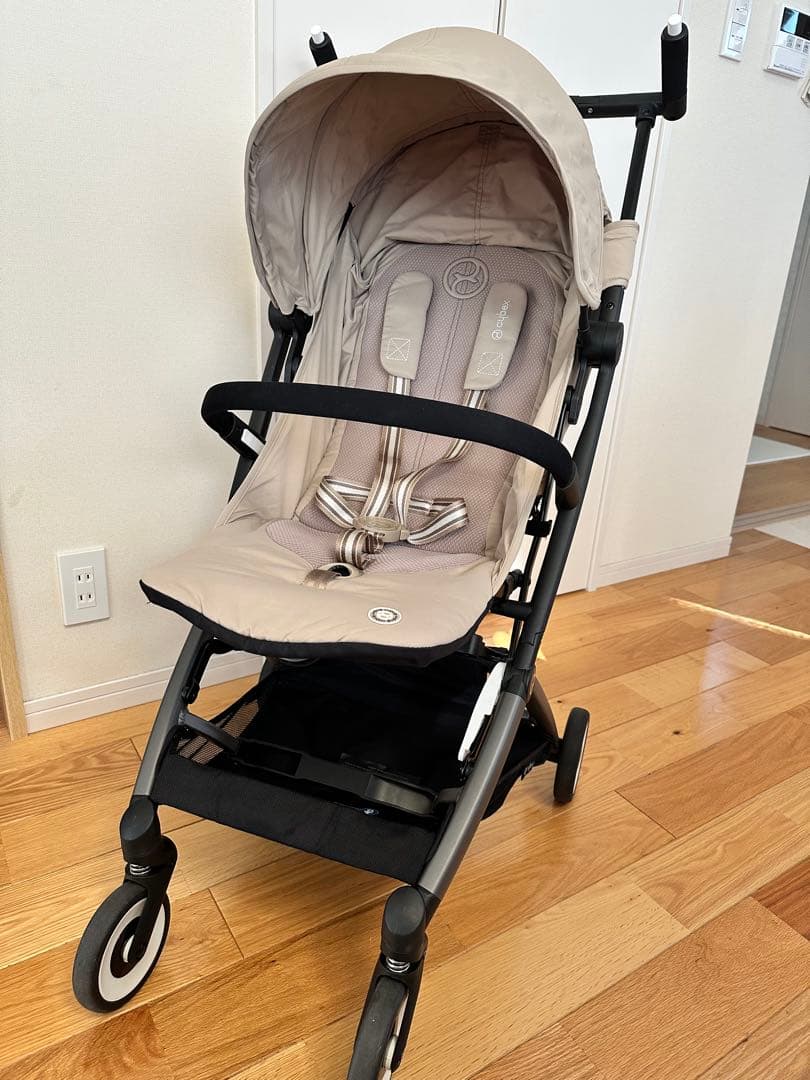 サイベックスリベル　2024年モデル