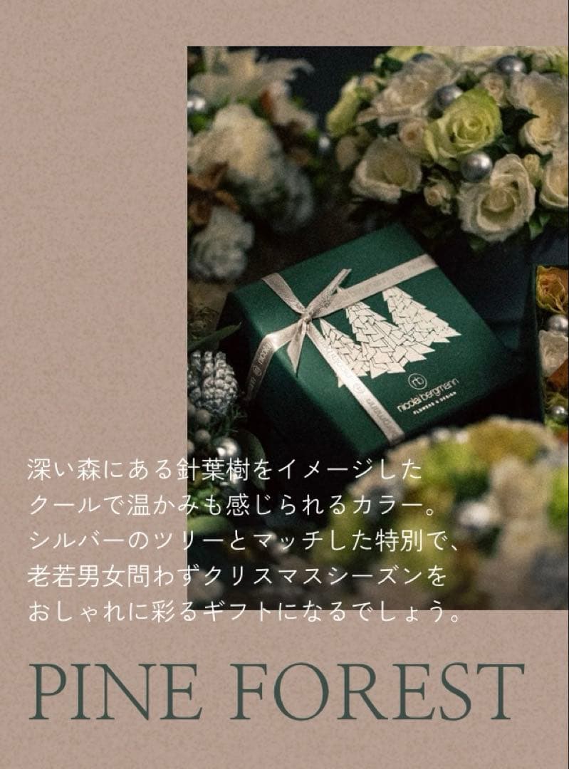 ニコライバーグマン　2023　クリスマス　プリザーブドフラワー　Lサイズ