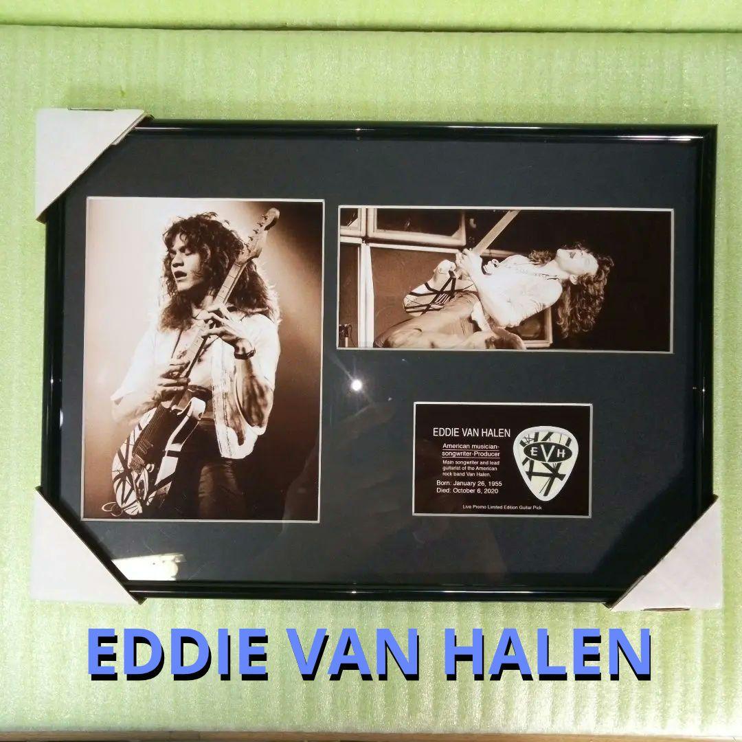 EDDIE VAN HALEN　置物　額　ピック　アート　インテリア　オブジェ