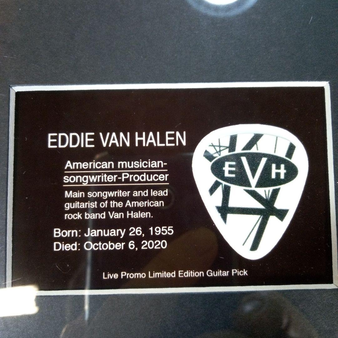 EDDIE VAN HALEN　置物　額　ピック　アート　インテリア　オブジェ