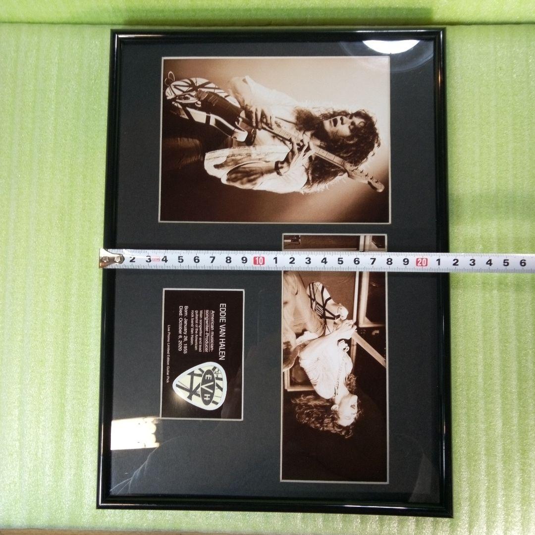 EDDIE VAN HALEN　置物　額　ピック　アート　インテリア　オブジェ