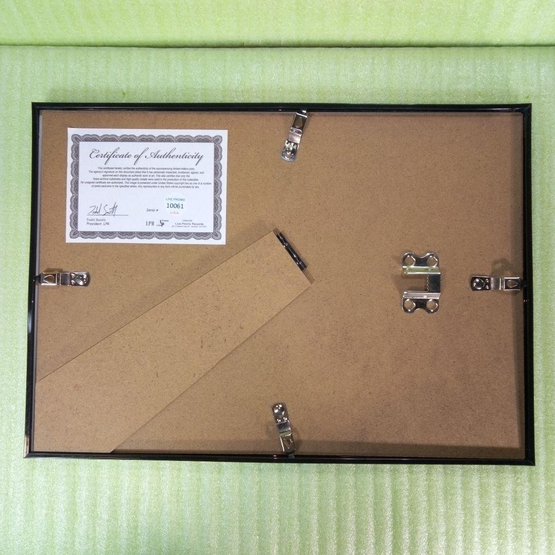 EDDIE VAN HALEN　置物　額　ピック　アート　インテリア　オブジェ