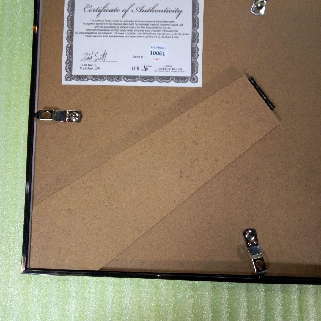 EDDIE VAN HALEN　置物　額　ピック　アート　インテリア　オブジェ