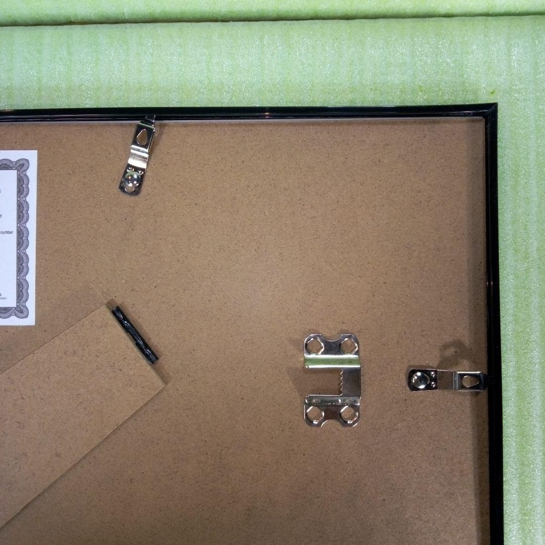 EDDIE VAN HALEN　置物　額　ピック　アート　インテリア　オブジェ