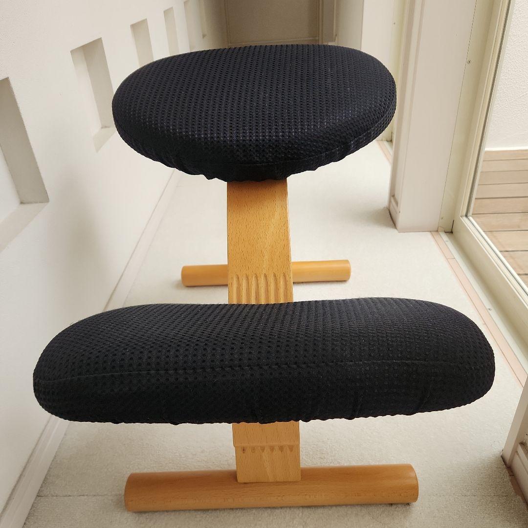 バランスチェア　イージーチェア　balansEasy