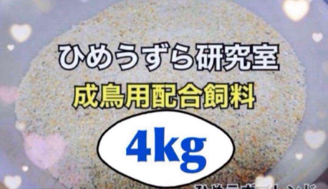 ひめうずら研究室 成鳥用配合飼料 4kg 鳥 餌 ヒメウズラ