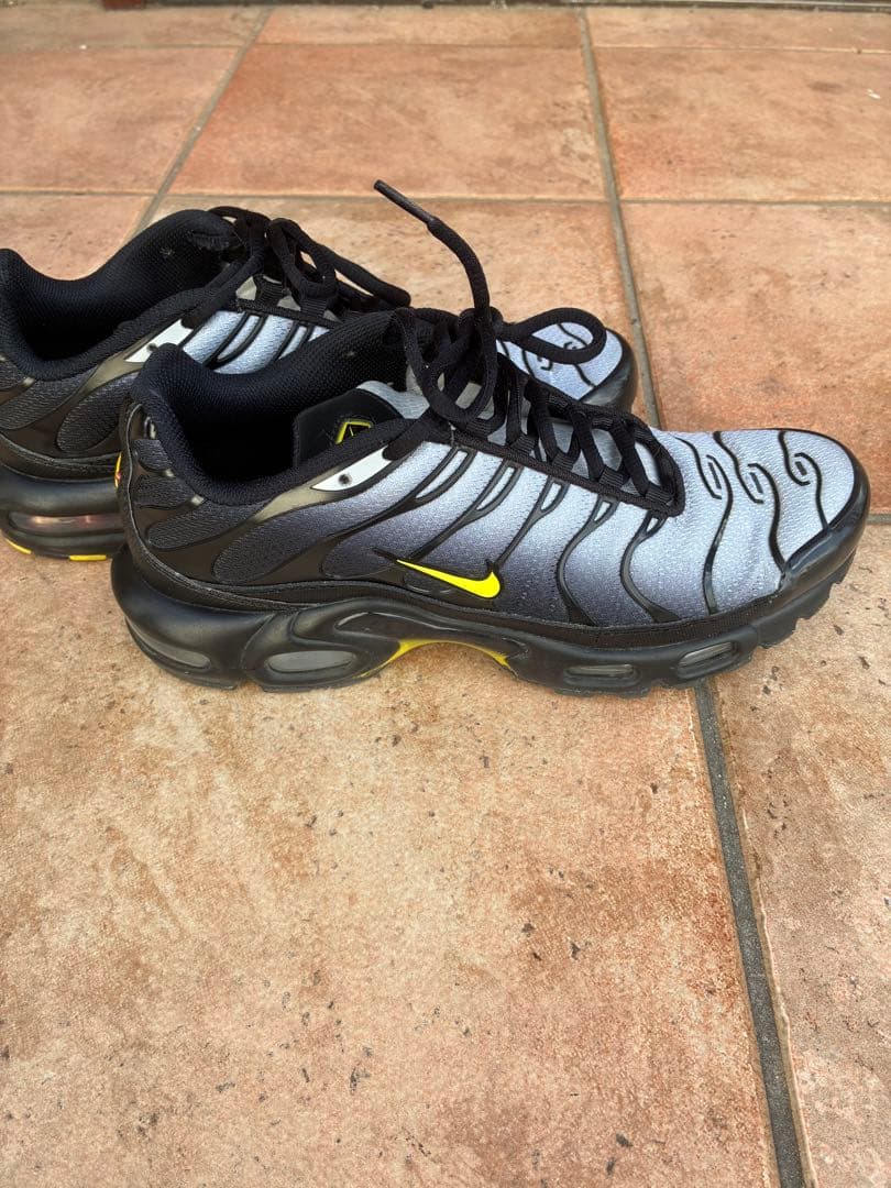 靴 NIKE AIRMAX PLUS tn 26cm