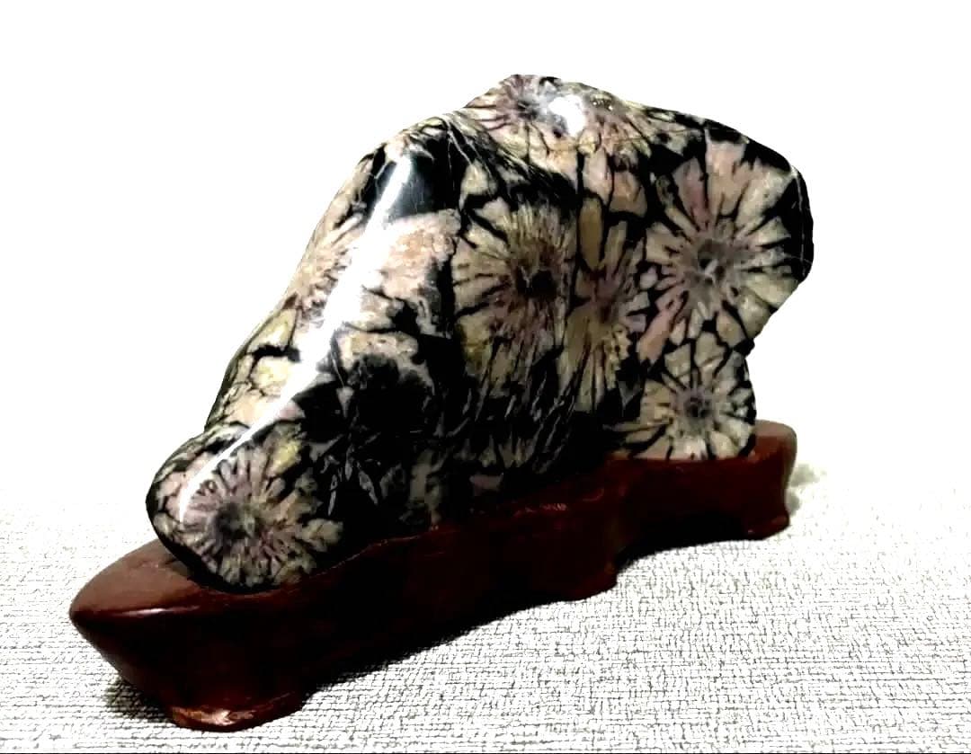 菊花石　7連　淡いピンク花