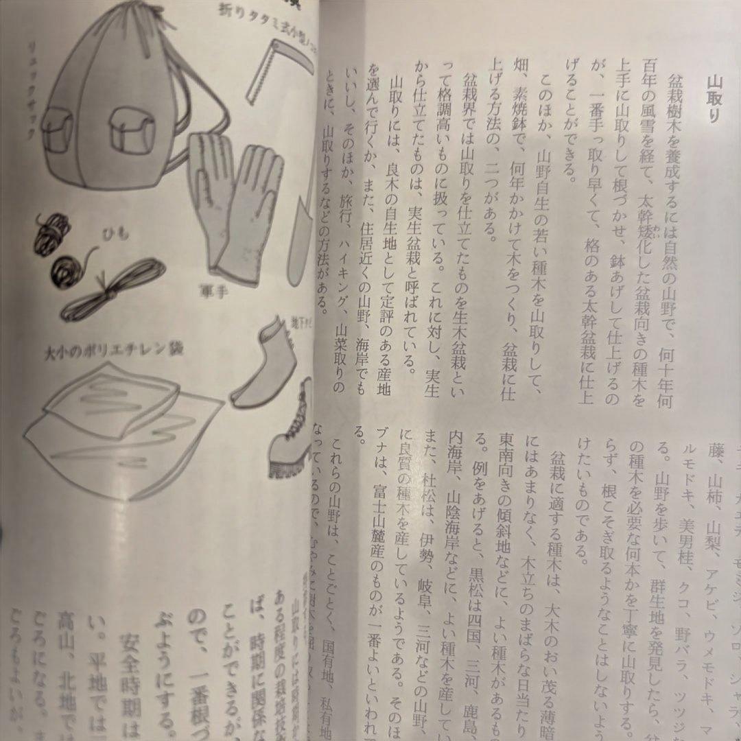 図解盆栽早わかり 小林 高