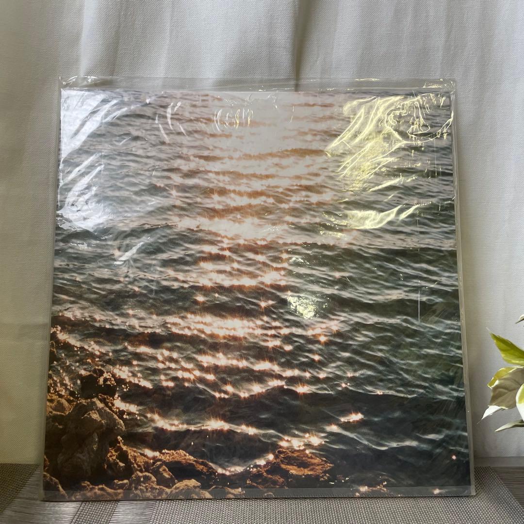 32834 小沢健二 ある光 レコード アナログ