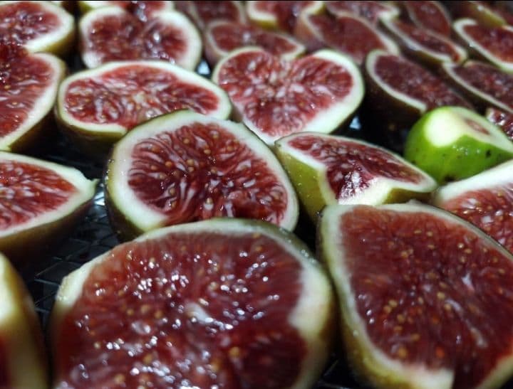 【無添加・無着色・砂糖不使用】国産ドライいちじく500g