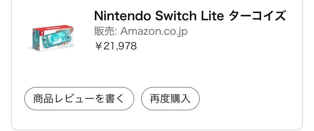 d*9様 ジャンク　Nintendo Switch Lite ターコイズ 本体