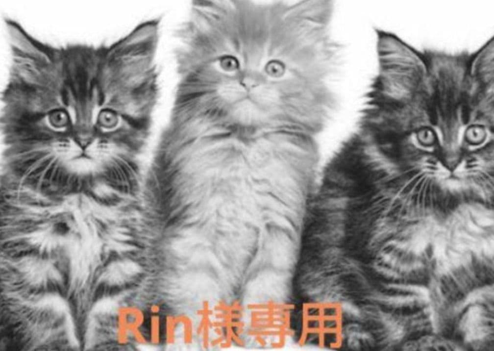 Rin 　ニュートロワイルドレシピ　3種類2袋ずつセット