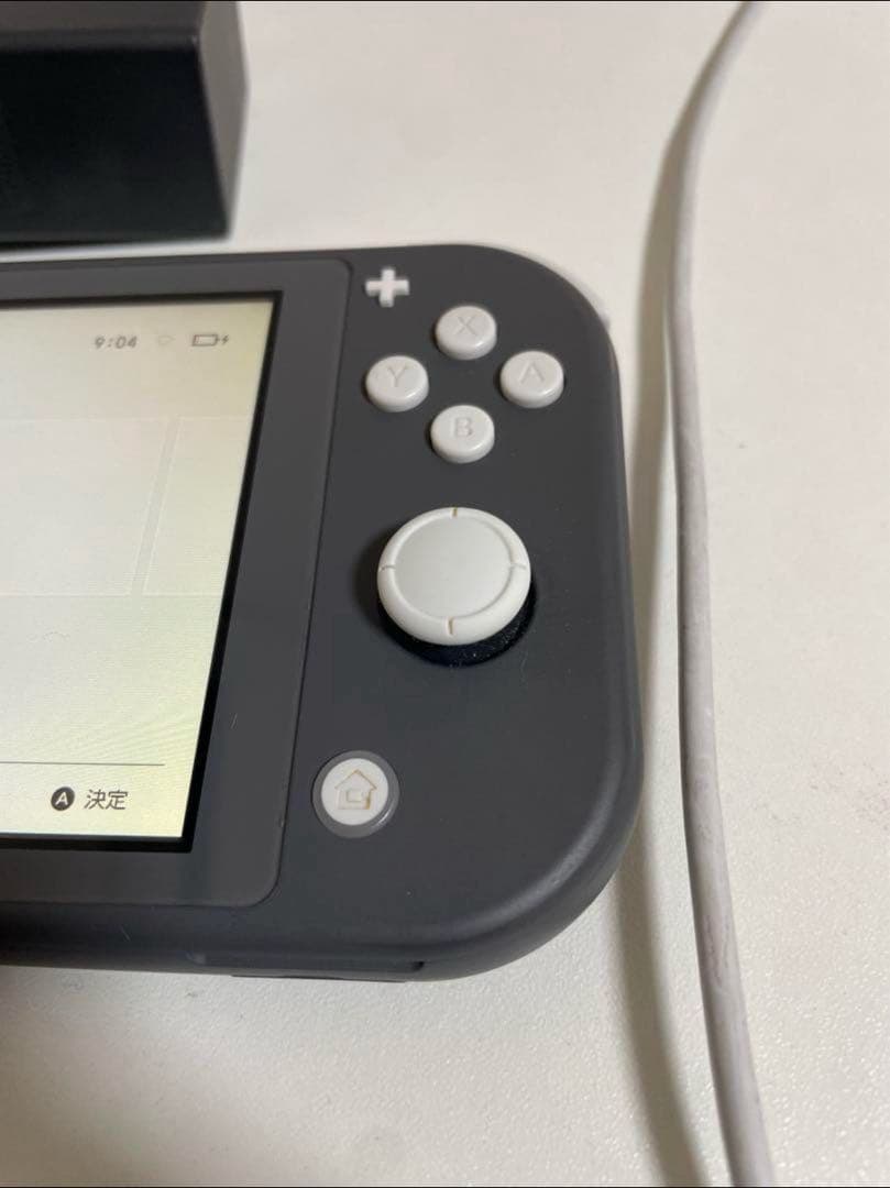 Nintendo Switch Lite グレー 充電器付き カバー付き