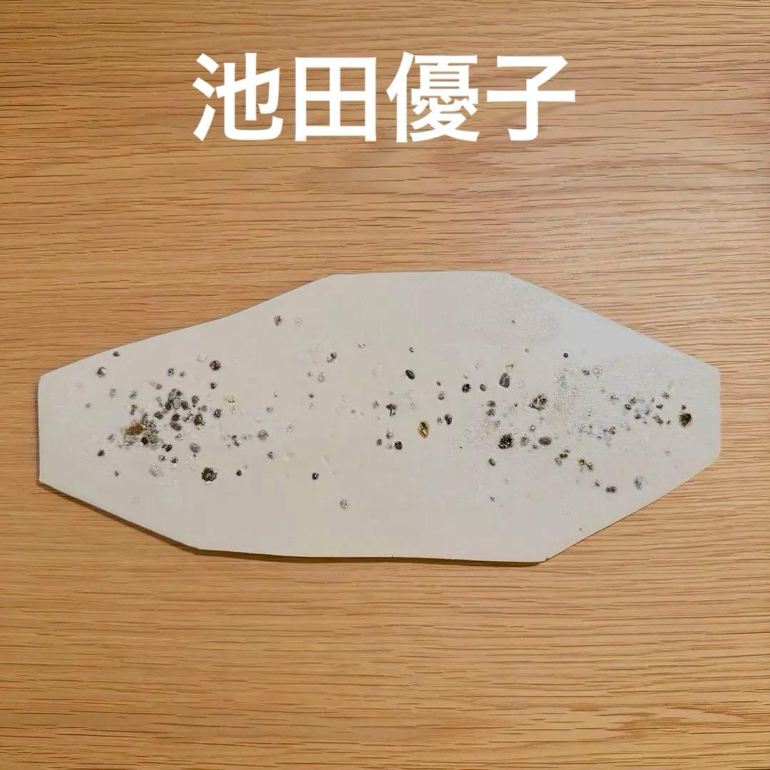 【未使用】池田優子　皿　プレート　約30×13cm