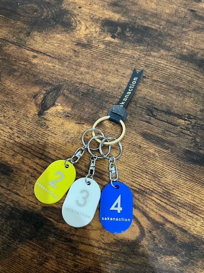 sakanaction どなたか意思を継いでセット①