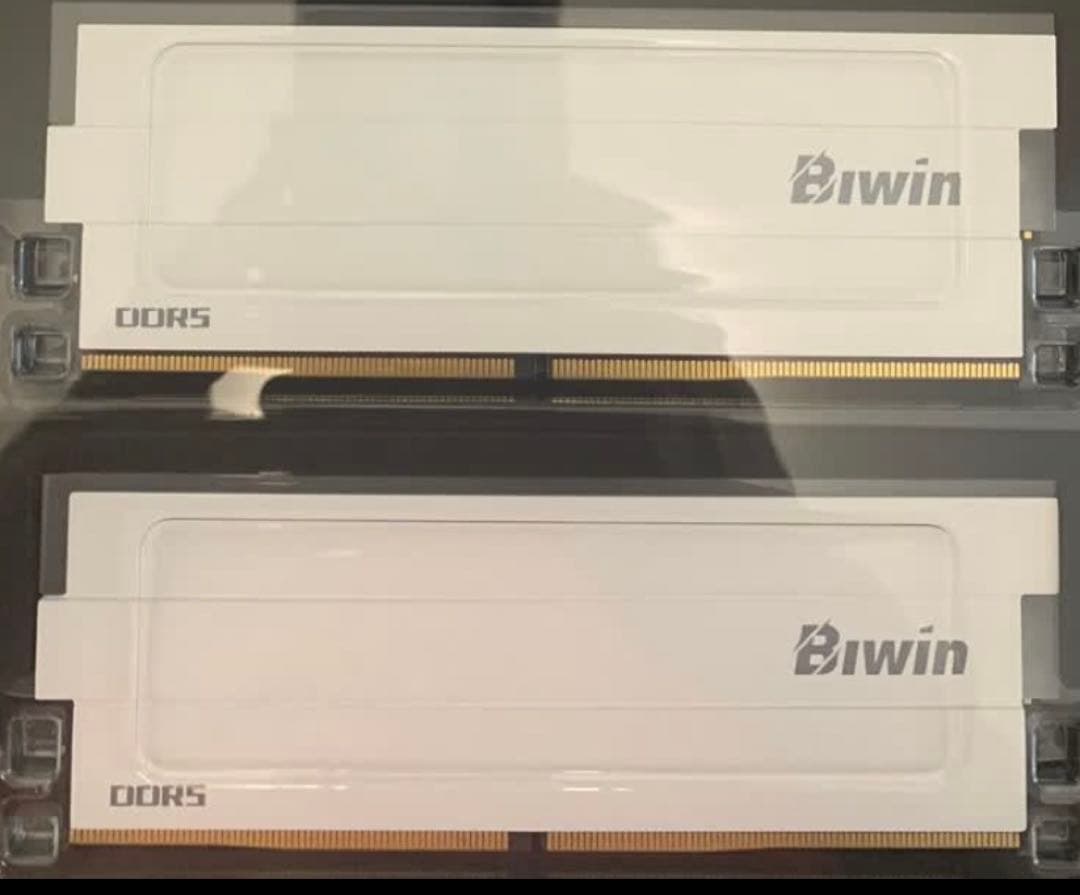 ほ*ほ様 Biwin DW100 DDR5-6000 16×2 32GB 白 R