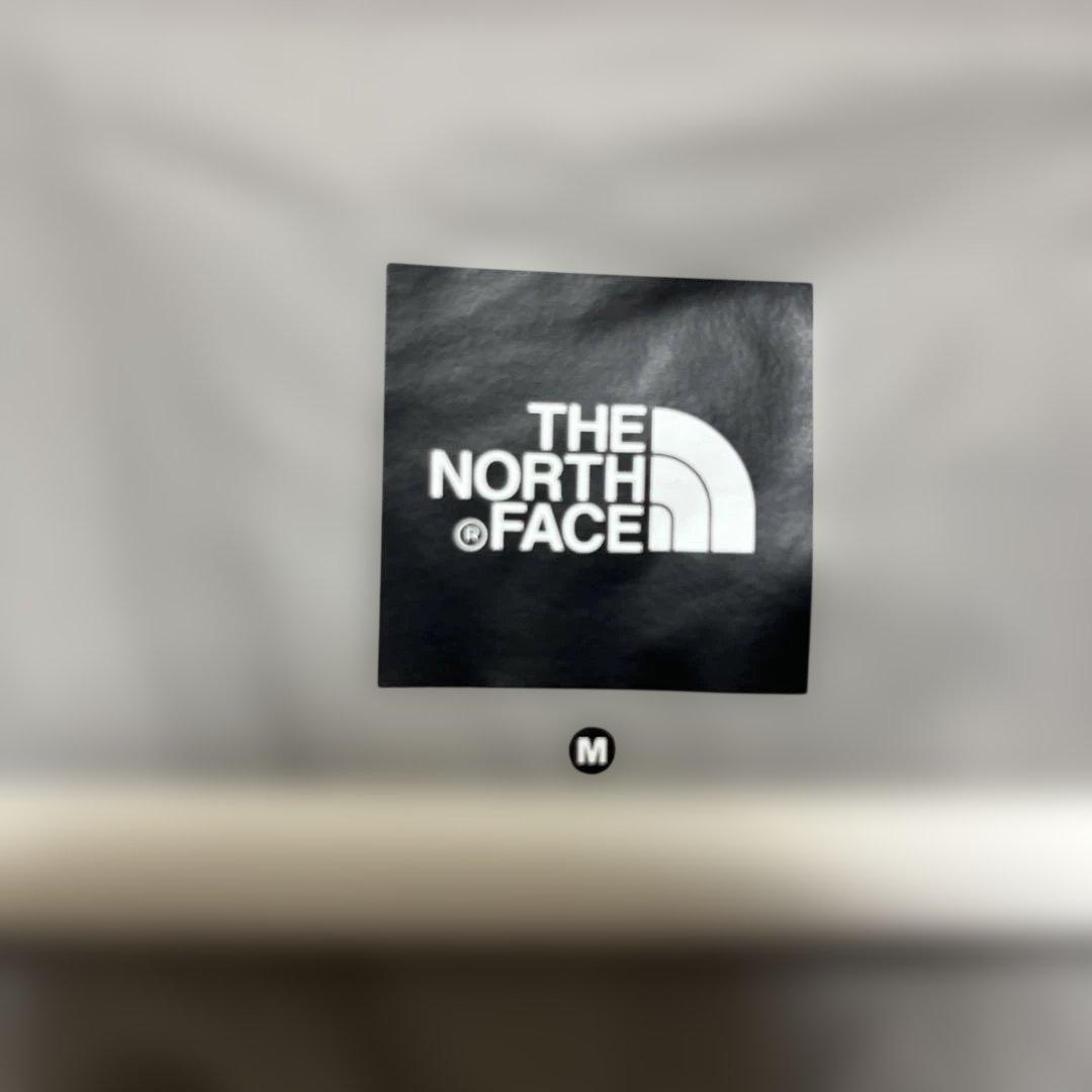 THE NORTH FACE ドットショットジャケット