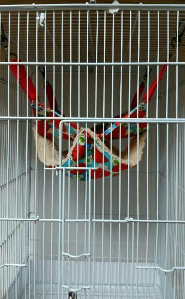 モモンガハウス(パンダいちご柄)ボアベージュ 特大サイズ  2300